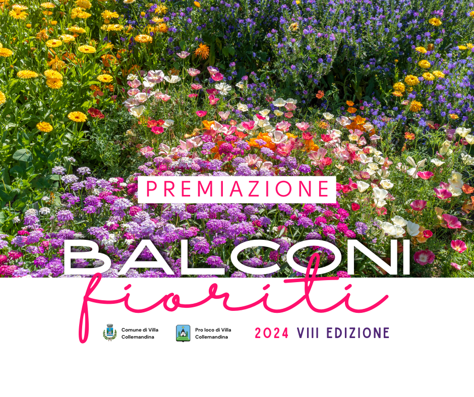 Balconi fioriti 2024